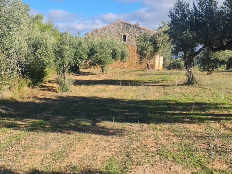 Landejendom i Asco, Tarragona - foto 1